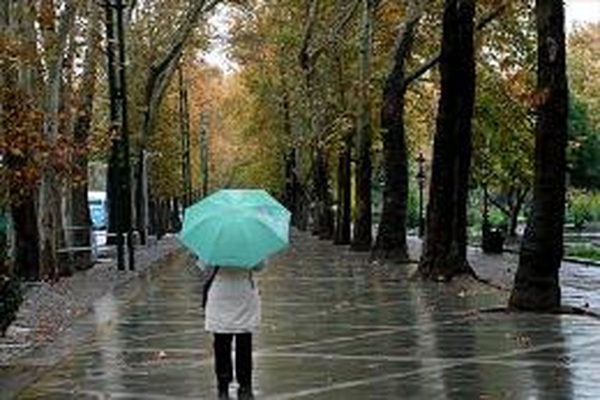 رگبار باران و وزش باد در نوار شمالی کشور