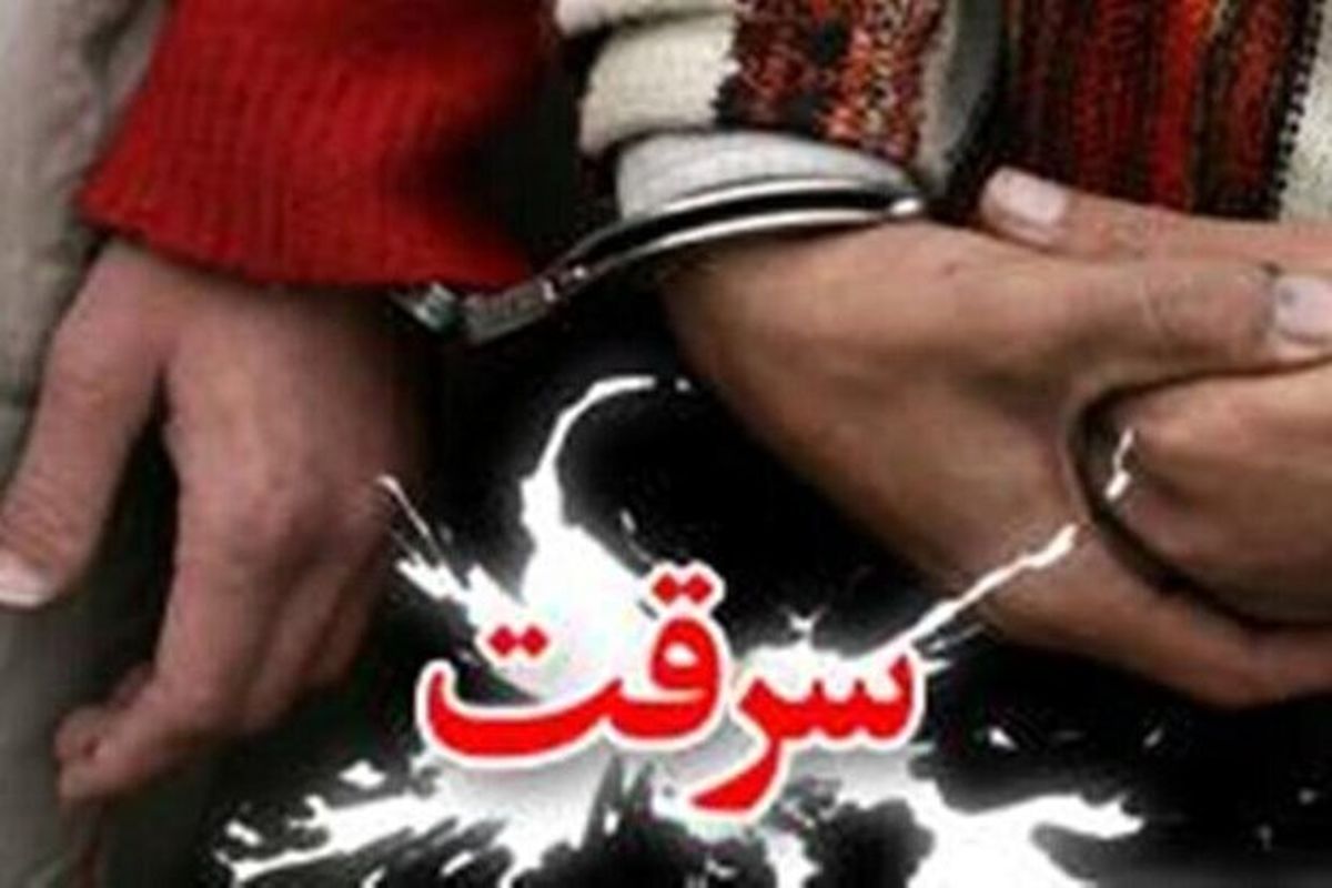 کاهش ۱۲ درصدی وقوع سرقت در ایلام