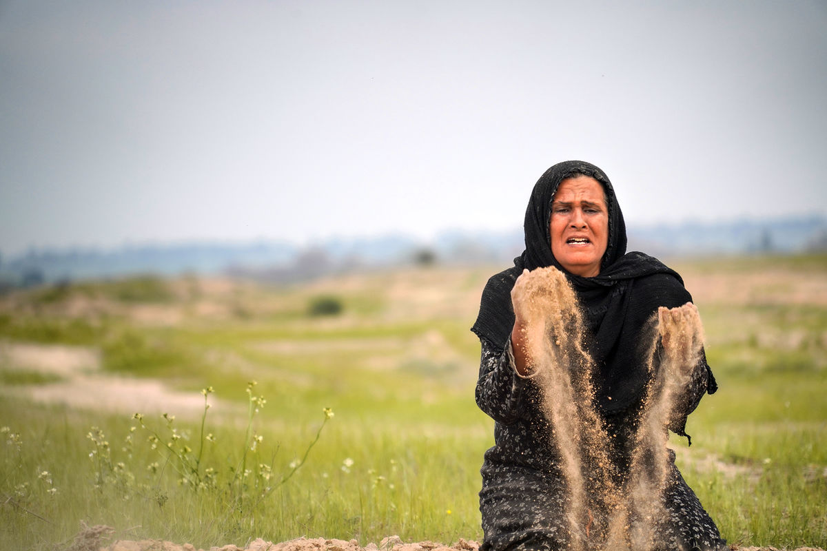 «جهان، نیمکره‌ی شمالی» به فرانسه رسید