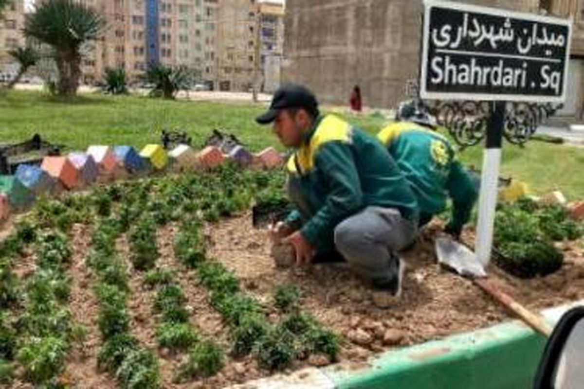 کاشت بیش از ۳۸ هزار گل و درخت طی ۵ ماه ۱۴۰۱ در قرچک