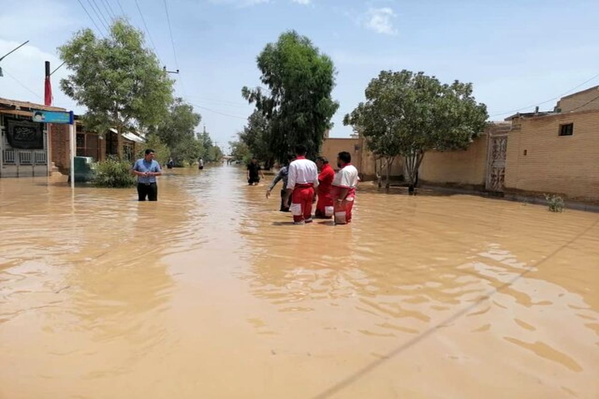 سیل در مناطق عشایری۷هزار دام را تلف کرد