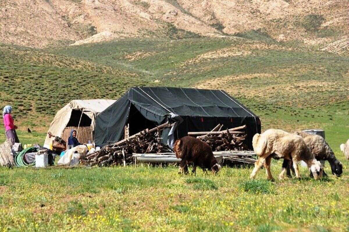 پرداخت ۲۰۰ میلیارد تومان تسهیلات روستایی و عشایری در کهگیلویه و بویراحمد