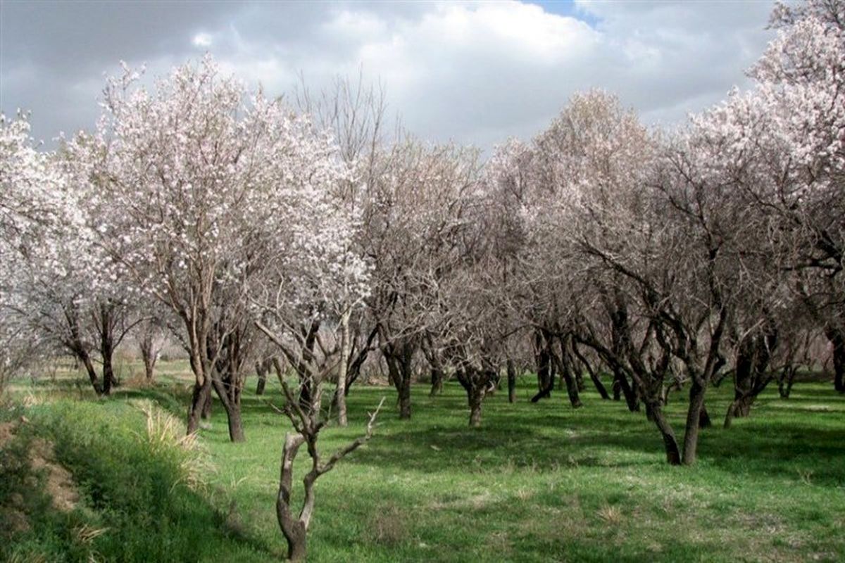 جایزه جهانی ایکوموس به یک ایرانی رسید