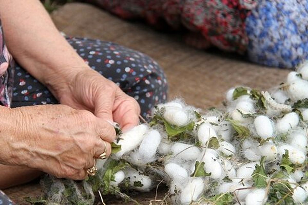 تهیه و ارسال پرونده ۱۲ اثر ناملموس گیلان جهت ثبت در فهرست آثار ملی