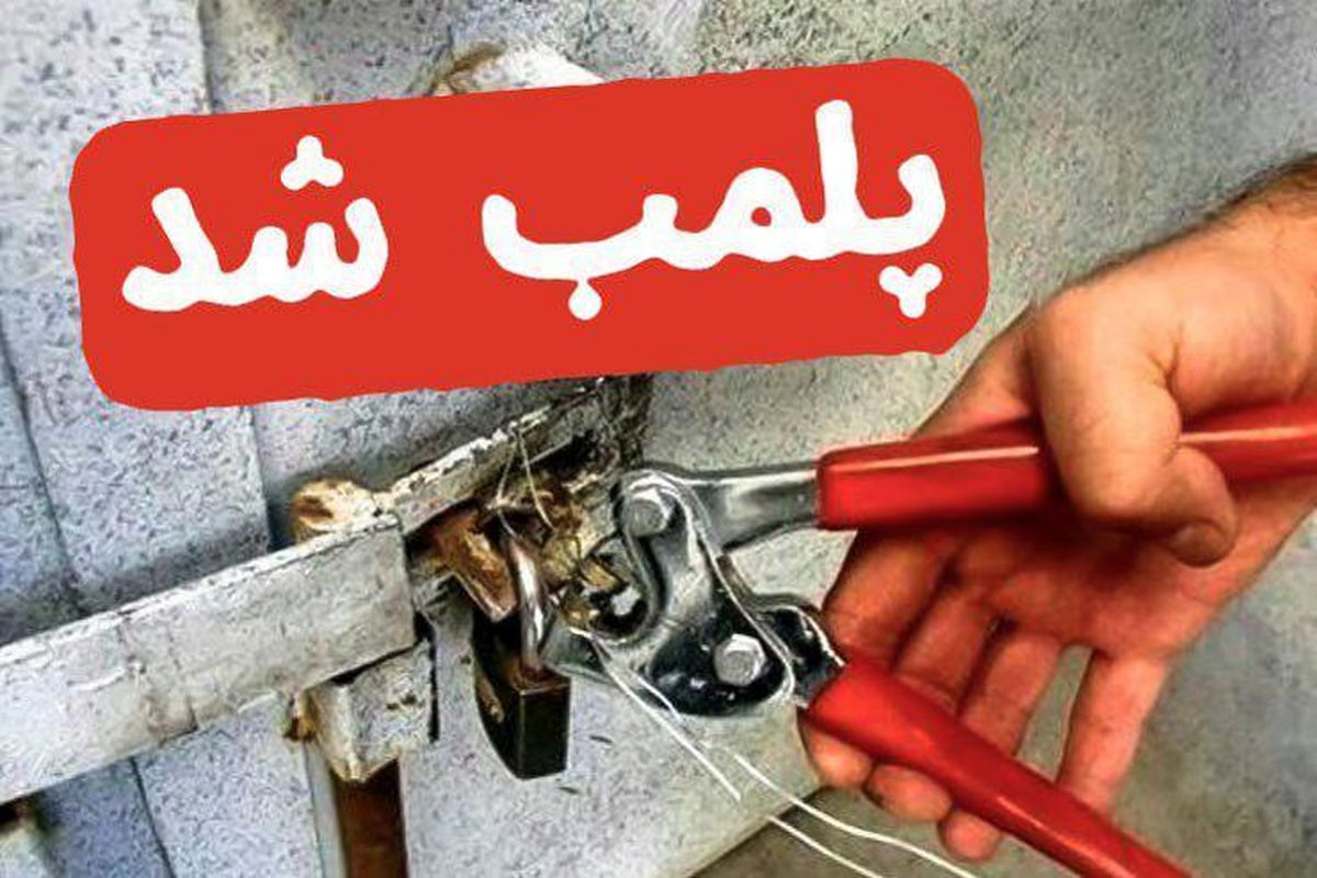 ۸۱ واحد متخلف در عرضه کالاهای اساسی قزوین پلمب شده‌اند