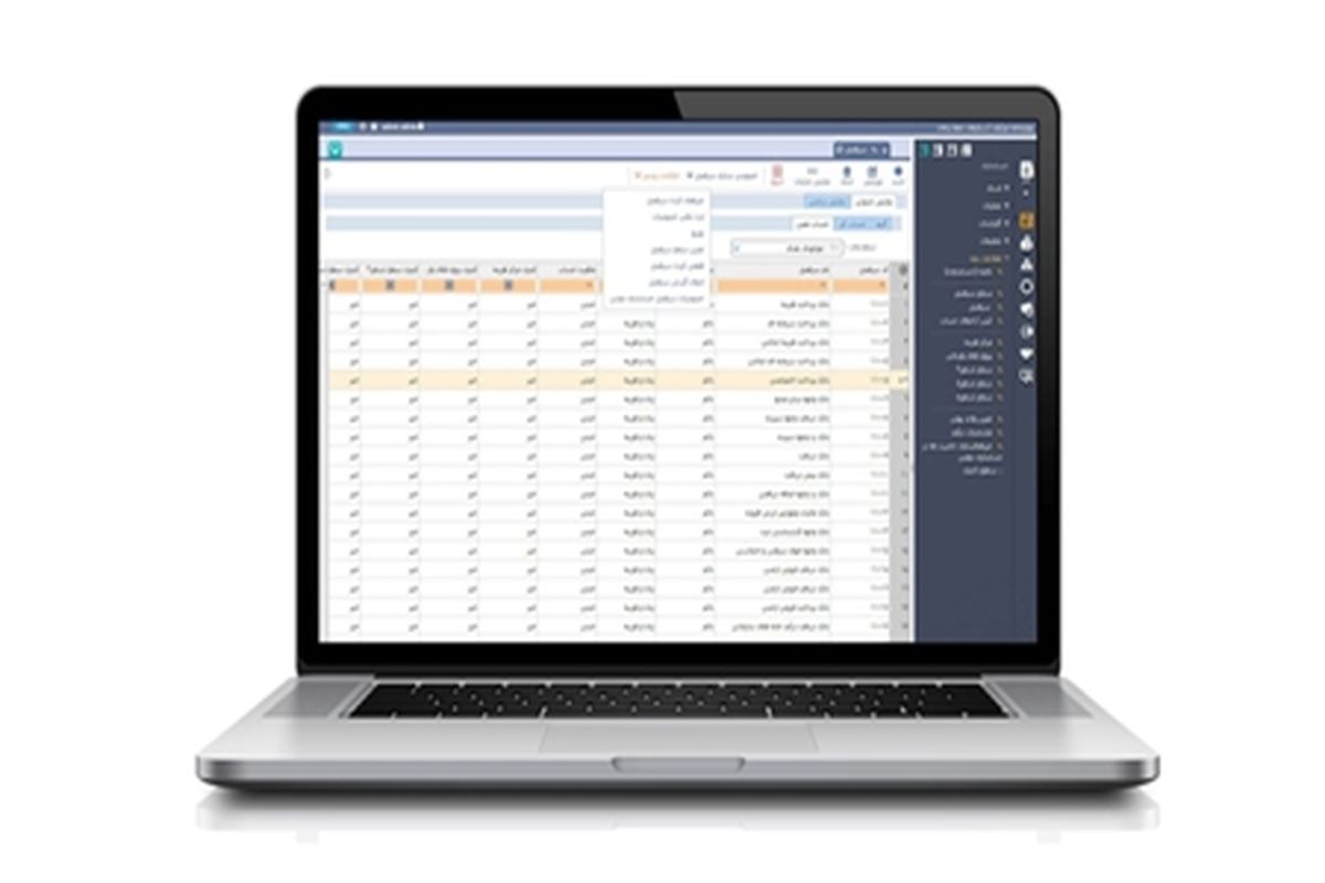حسابداری و رصد امور مالی را سامانه هوشمند ایران‌ساخت سرعت بخشید