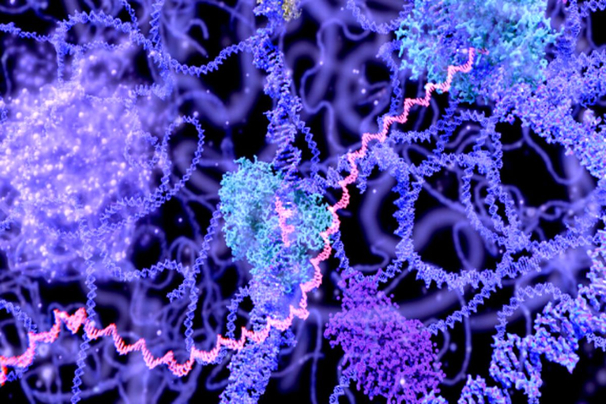 جذب سرمایه برای توسعه روش درمان سرطان با ترکیب mRNA و نانوذرات