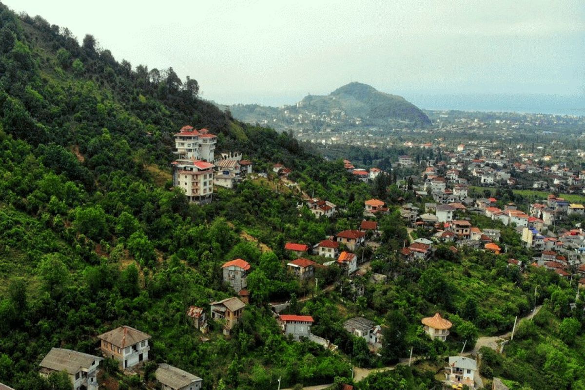 برخورد جدی با جنگل‌خواری و زمین‌خواری