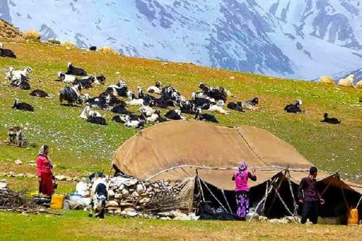 خسارت ۷۵۰ میلیاردی بارندگی ها به زیرساخت های عشایری لرستان