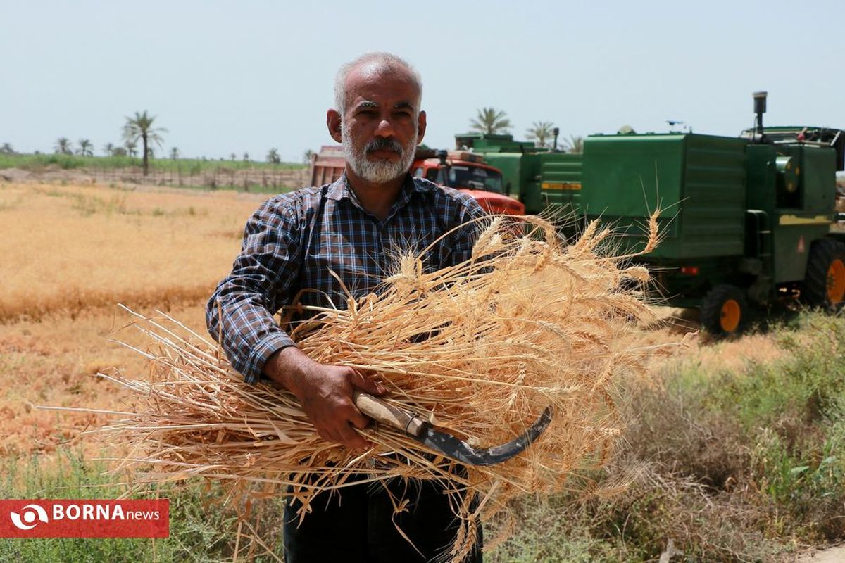 باشگاه "گندم یاران" خوزستان تاسیس می شود