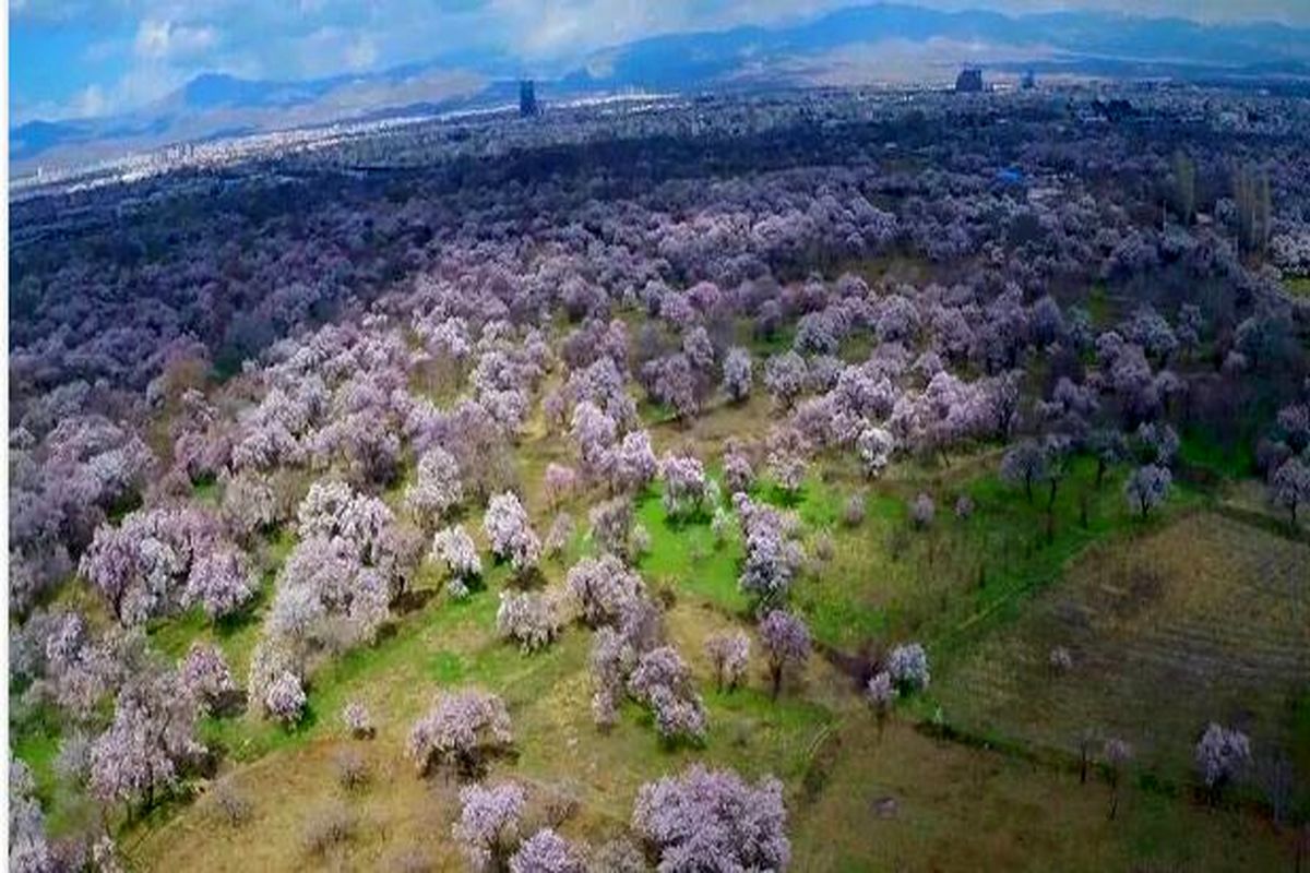 باغستان سنتی قزوین با قدمت یک هزار ساله مکانی فرحبخش برای گردشگران نوروزی