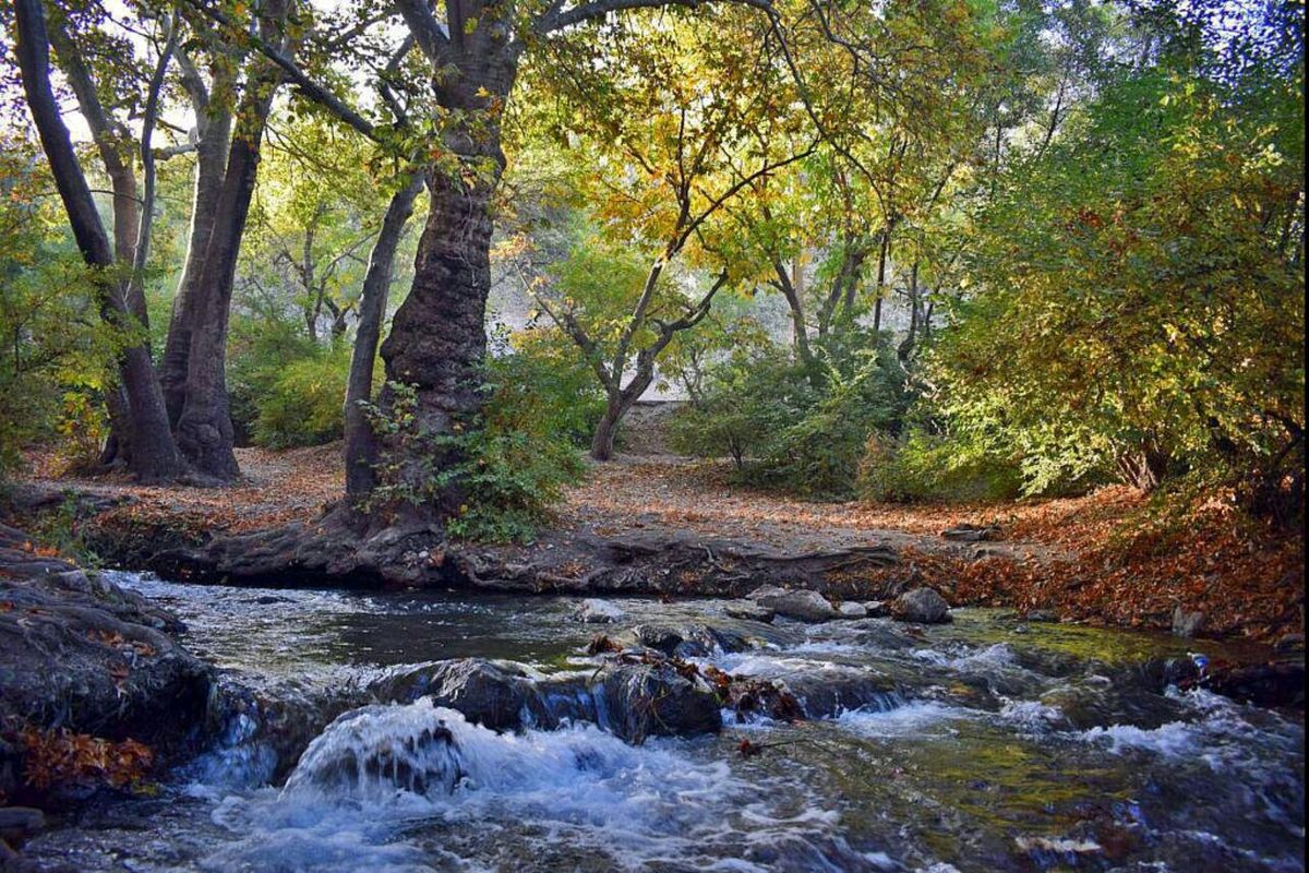 "نهاوند" سرزمین سراب های ایران