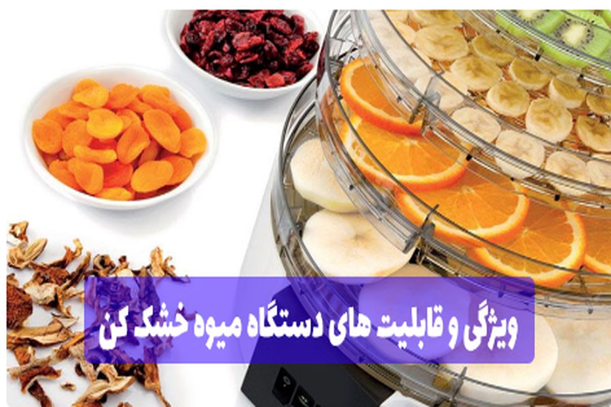 ویژگی و قابلیت های دستگاه میوه خشک کن