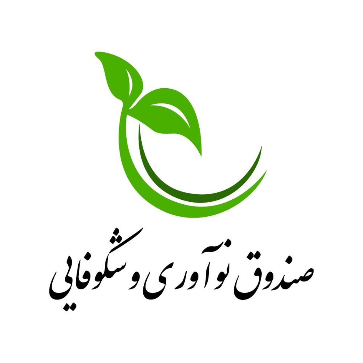 کاروان «راهیان پیشرفت» صندوق نوآوری و شکوفایی به ایستگاه فرودگام پیام رسید