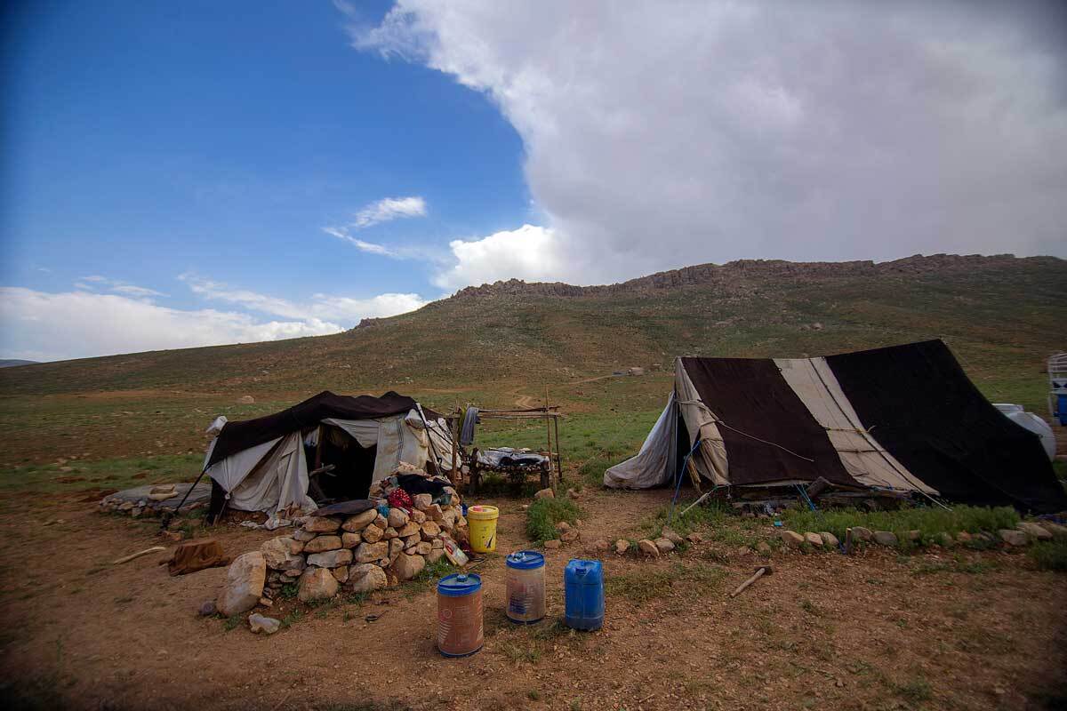 برگزاری جشن کوچ عشایر پس از 5 سال