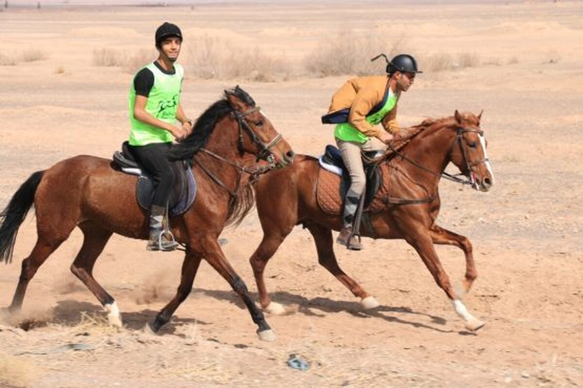 رئیس هیئت سوارکاری هرمزگان منصوب شد