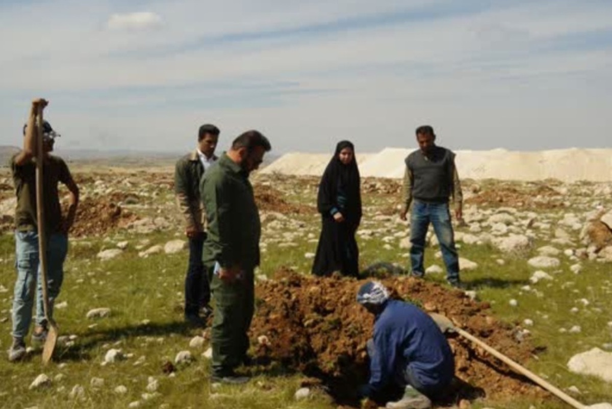 مشارکت شرکت ملی مناطق نفت‌خیز جنوب در کاشت نهال در ۱۰۰ هکتار از عرصه‌های شهرستان بهمئی