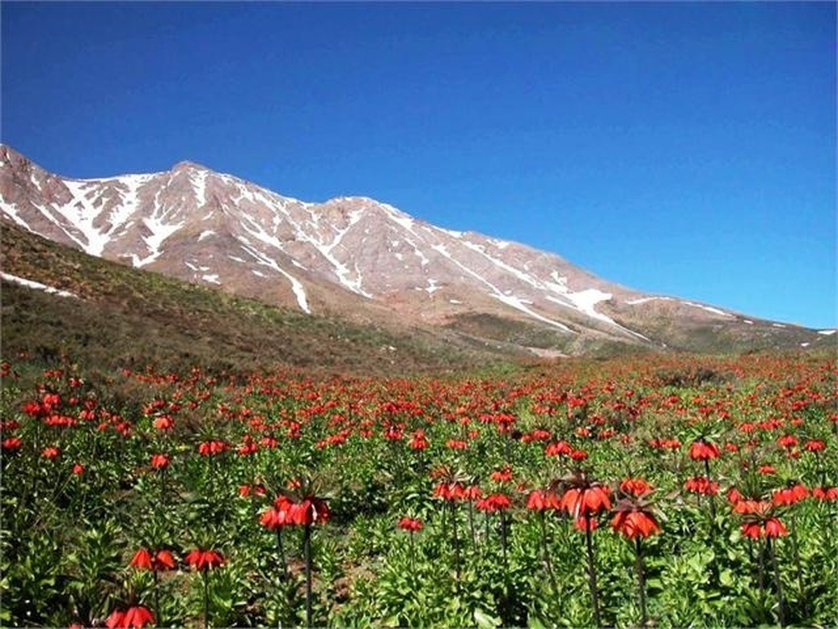 ۷ اثر طبیعی استان مرکزی ثبت ملی شدند