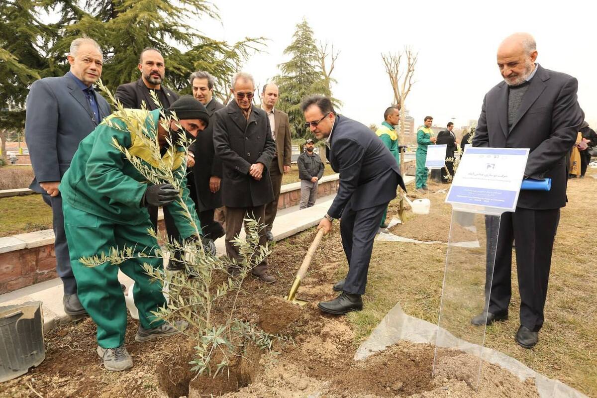 برگزاری آیین کاشت نهال صلح و دوستی دیپلماتیک در بوستان اِکو