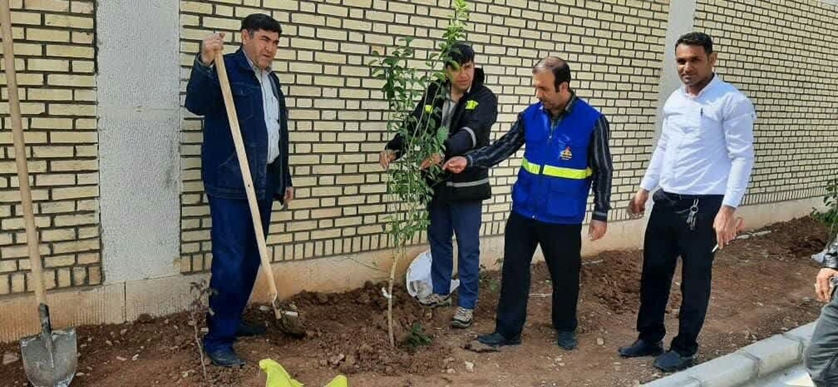 ۳۴۰ نهال مثمر و غیر مثمر در ایستگاه های گازرسانی ایلام کاشت شد