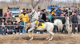 3200 ورزشکار بیمه شده در 35 رشته ورزشی در بویین زهرا فعالیت می کنند