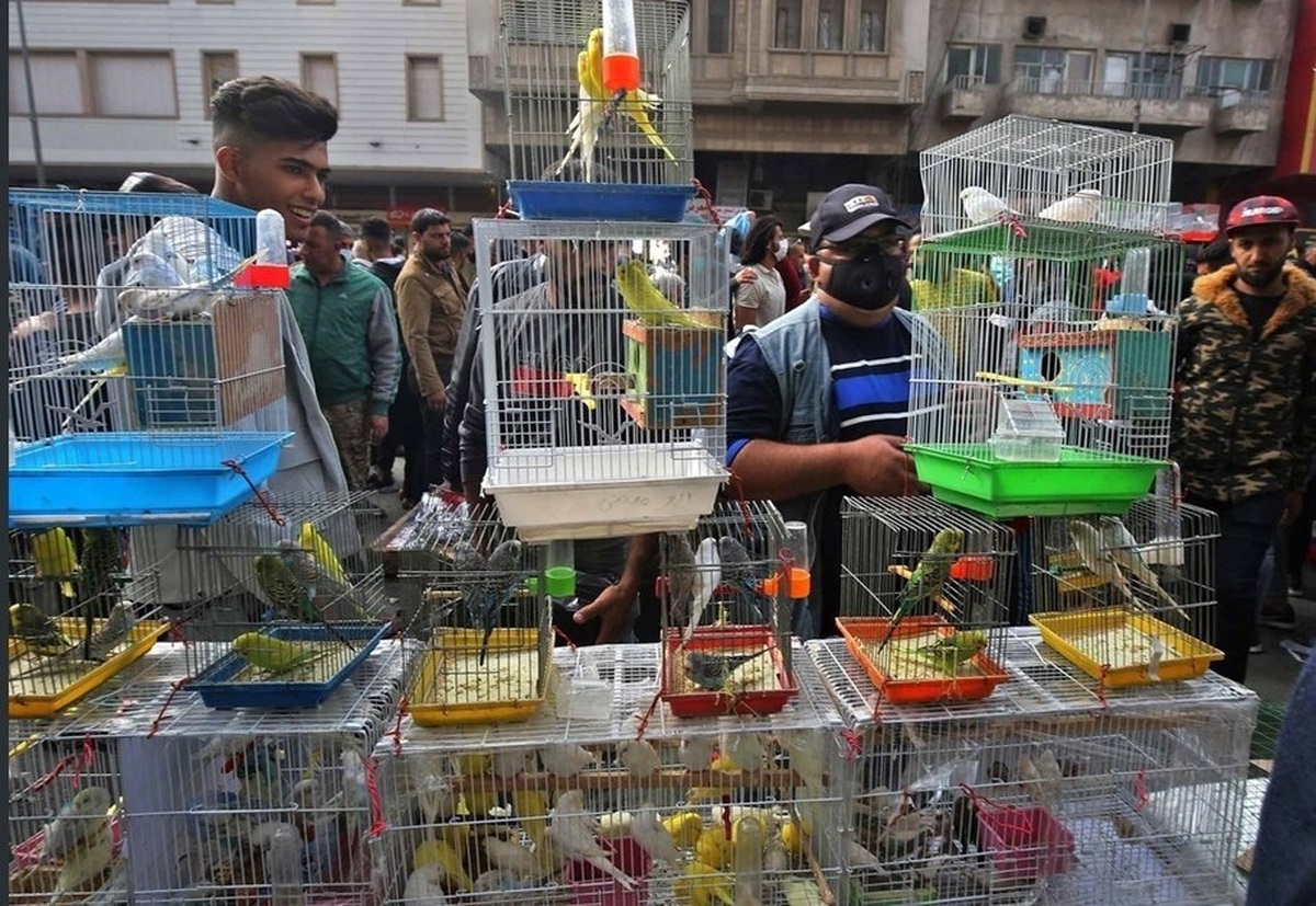 رفع نواقص فاز 2 بازار پرندگان 