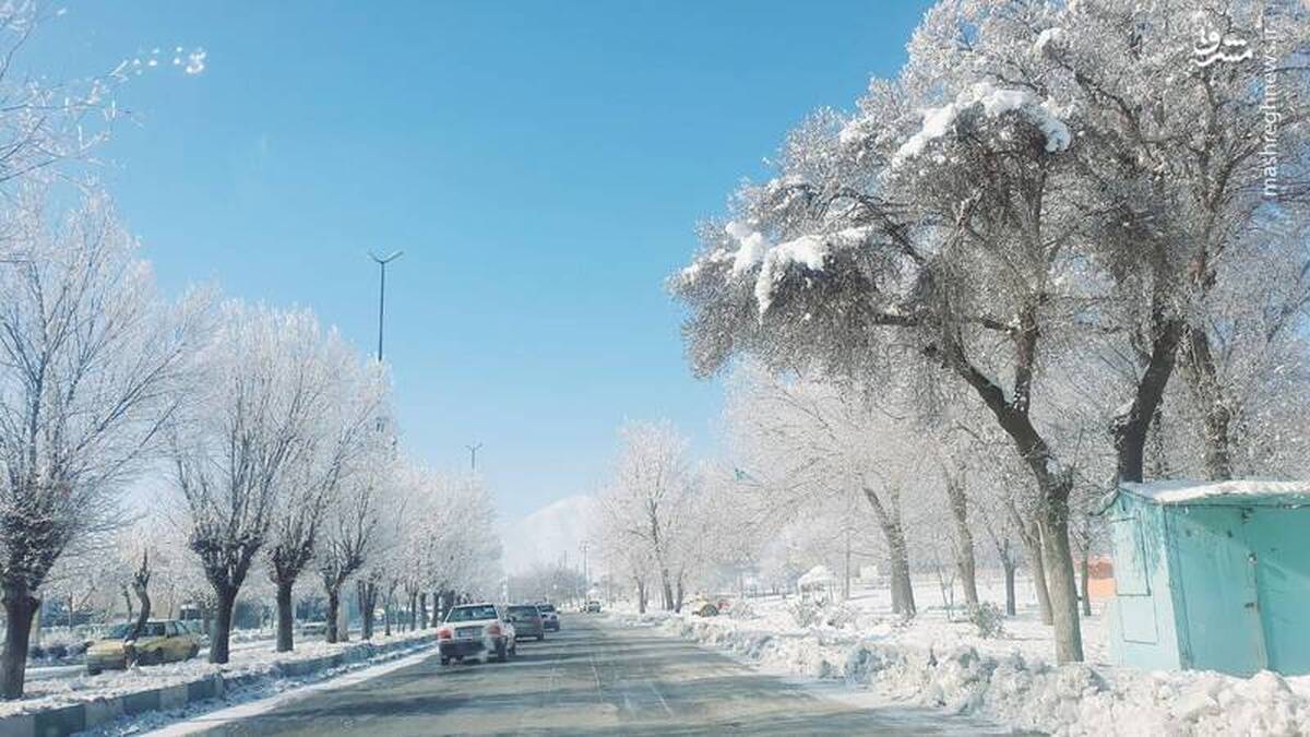 بارش شدید برف در شهر کنگاور