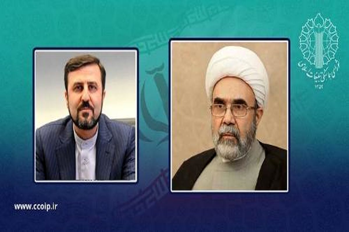 رئیس ستاد مرکزی هفته بازخوانی و افشای حقوق بشر آمریکائی و بزرگداشت شهدای هفتم تیر منصوب شد