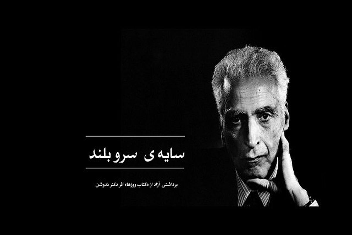 «سایه آن سرو بلند» از شبکه مستند پخش می‌شود