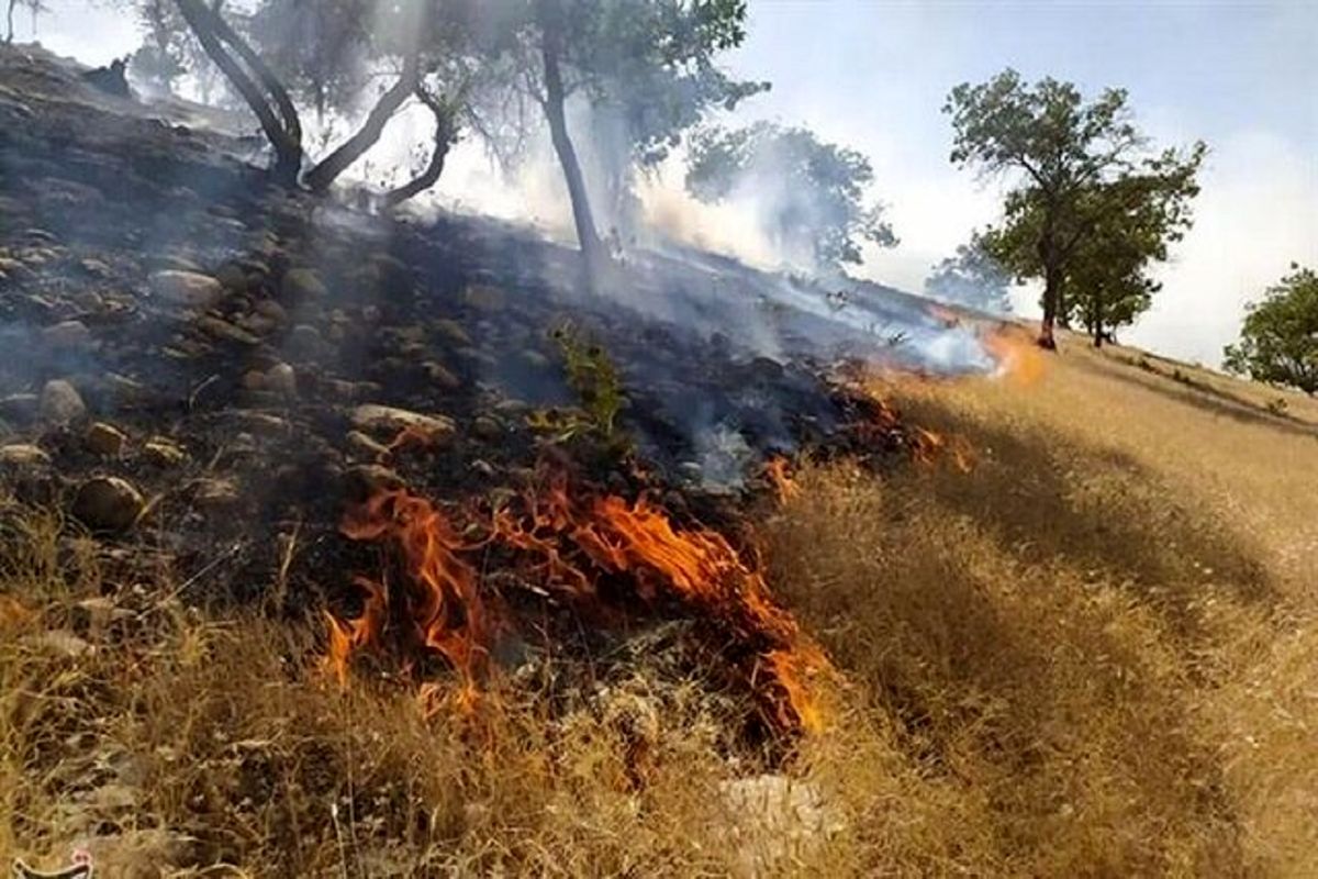 گرمای هوا و احتمال آتش سوزی در گلستان / آماده باش نیروهای منابع طبیعی