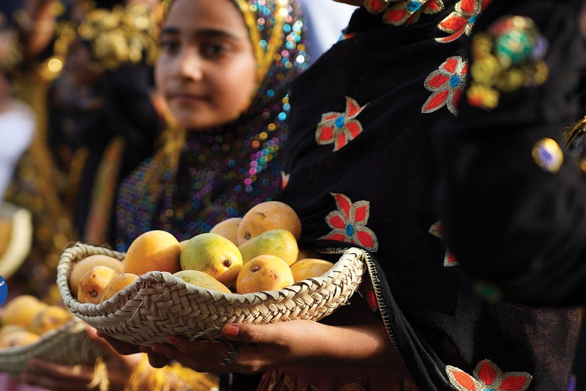 شهردار میناب: نهمین جشنواره شکرگذاری انبه و گل یاسمین برگزار می‌شود/برای تجاری‌سازی گل یاسمین تلاش خواهیم کرد