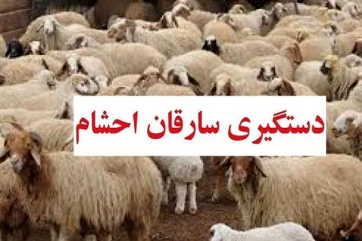 دستگیری سارقان مسلح احشام در گچساران