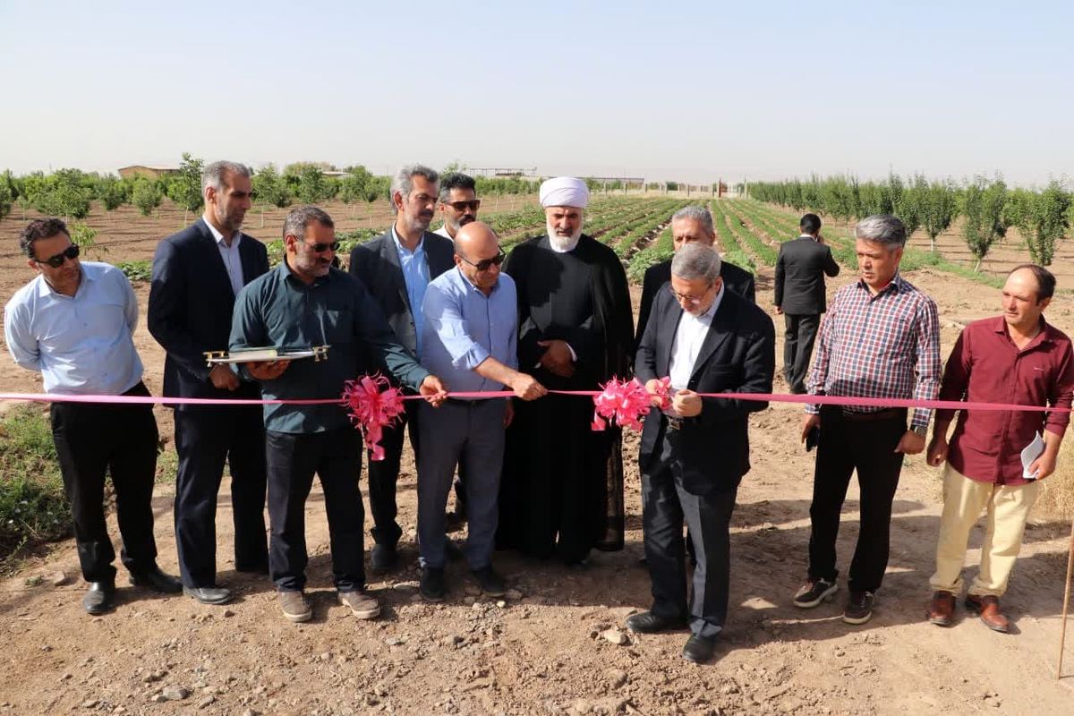 یک طرح سامانه نوین آبیاری در شهرستان آبیک افتتاح شد