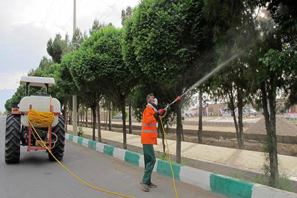 شهروندان قزوینی از خوردن میوه درختان سم پاشی شده خودداری کنند