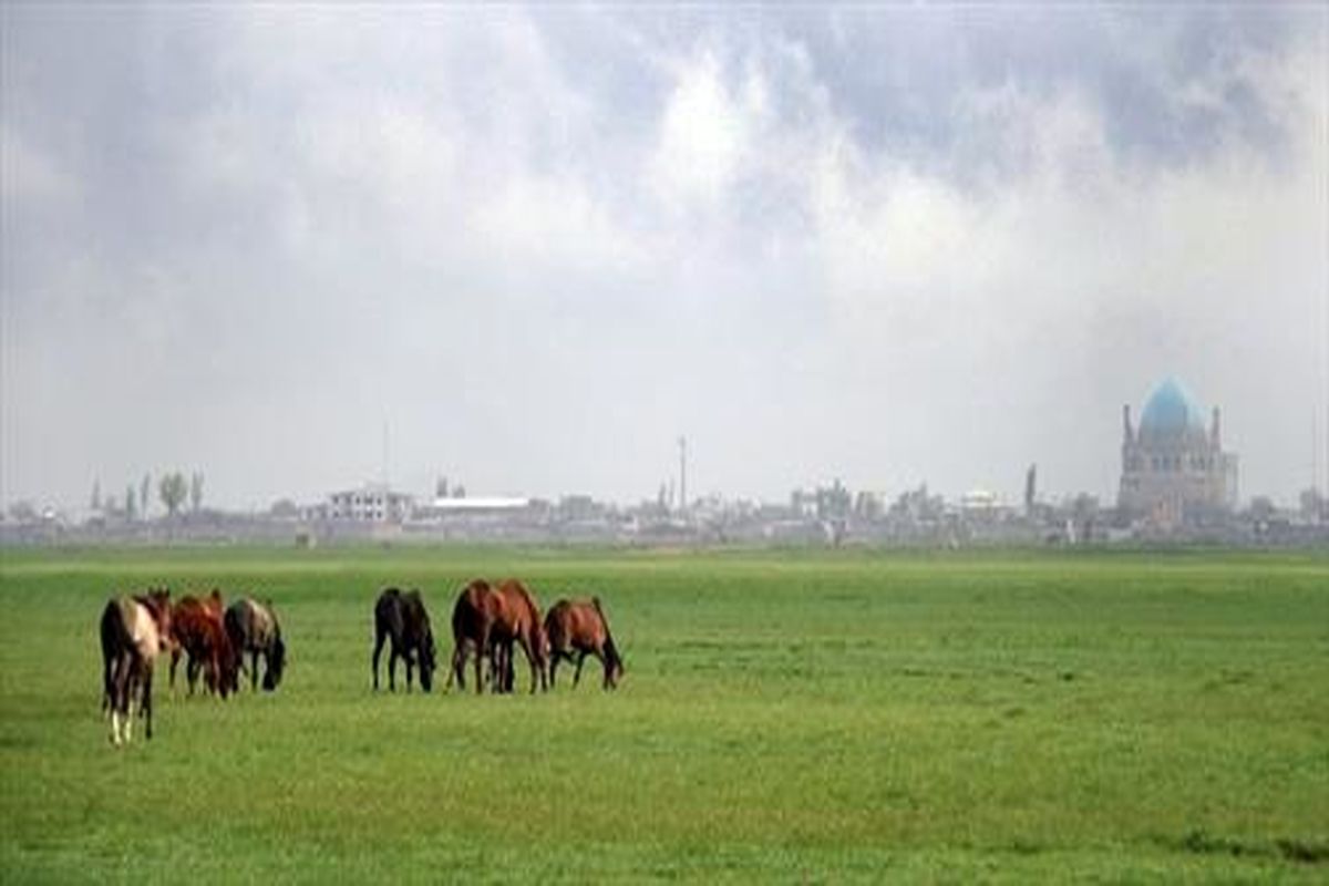 با تلاش کارشناسان دیوان محاسبات ۲۰ هکتار از اراضی استان  زنجان پس از ۱۹ سال به بیت المال بازگشت