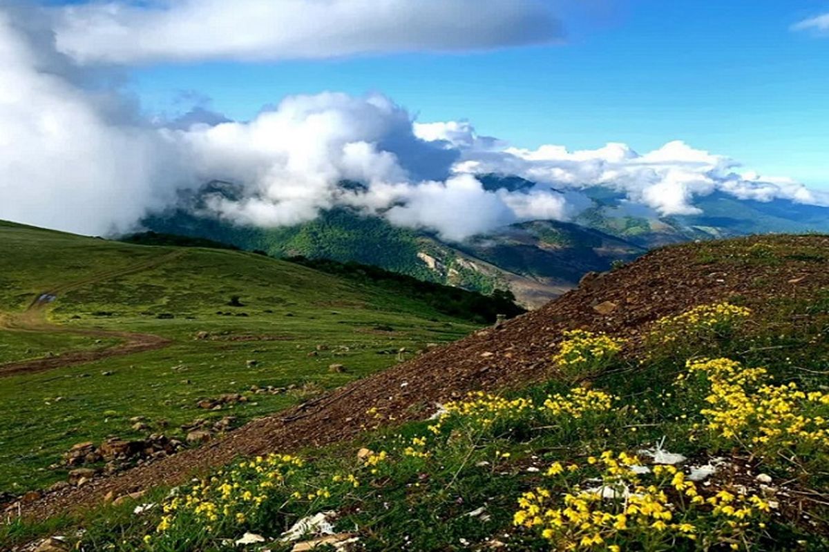 ماندگاری هوای گرم و شرجی تا اواسط هفته در گیلان