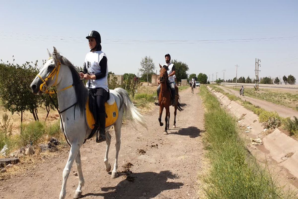 سوارکاری استان قزوین را به جایگاه کشوری می رسانیم