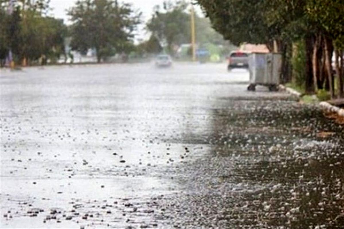 رگبار باران در نوار شمالی کشور