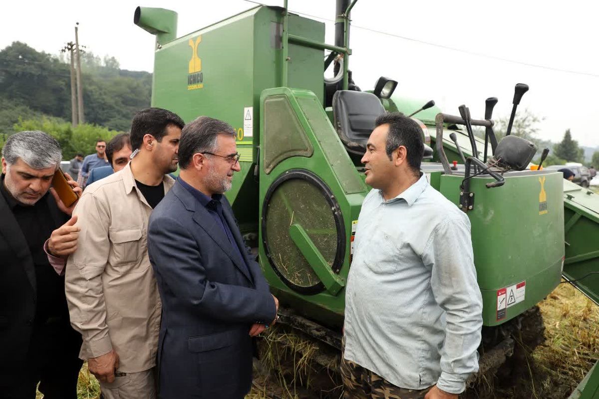 استاندار مازندران از اراضی شالیزاری در حال برداشت در روستای سید ابوصالح قائمشهر بازدید کرد