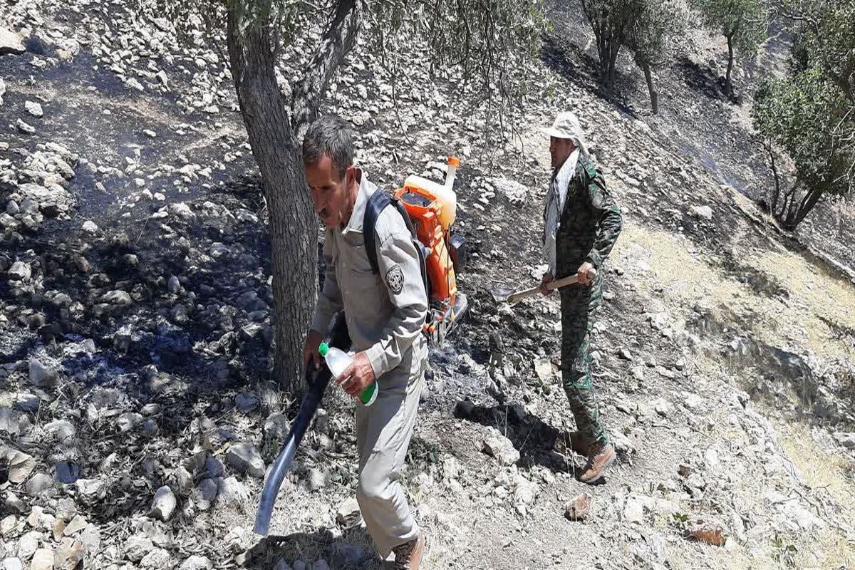 مهار قطعی آتش سوزی منطقه حفاظت شده دنا در کمتر از دو ساعت