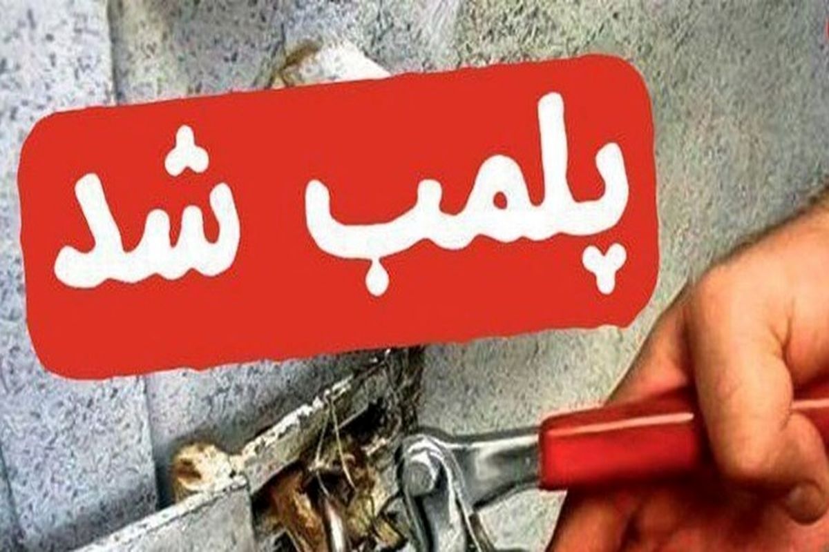 پلمب کارگاه تولید و بسته بندی مواد غذایی غیرمجاز در اسلامشهر