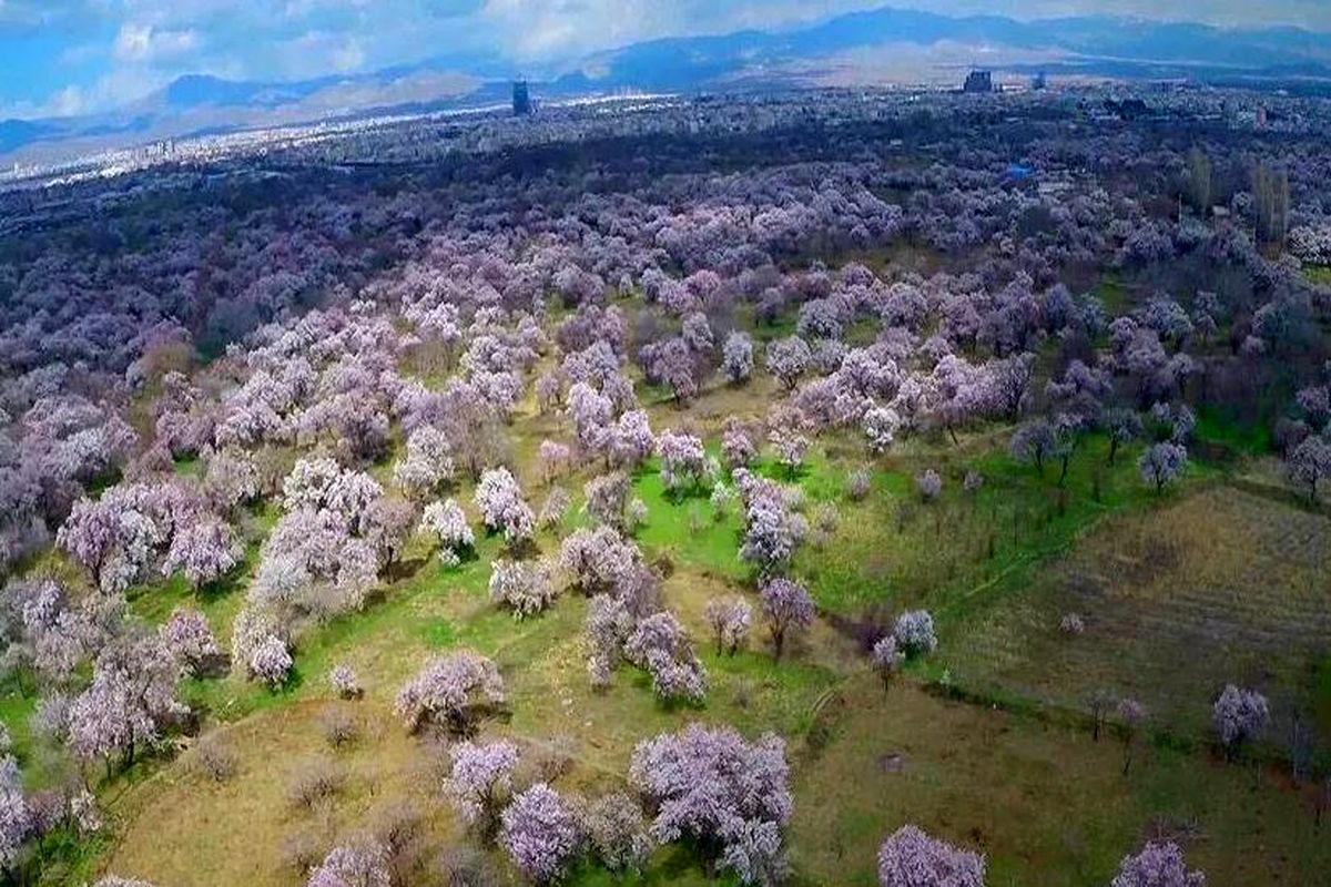 باغستان سنتی قزوین ثبت جهانی می شود/ افتتاح ۴۴ طرح کشاورزی در هفته دولت