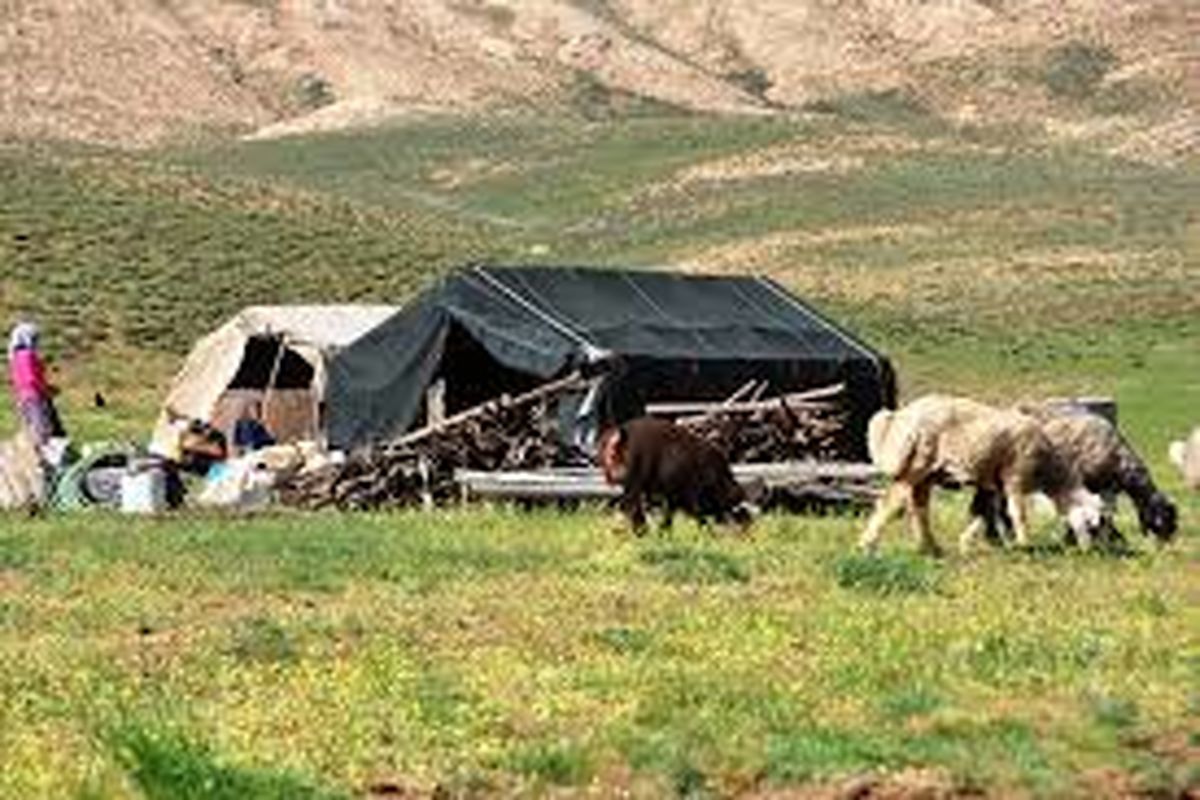 فعال شدن ۱۵ طرح حوزه صنایع دستی و بوم گردی  در جمعیت عشایری لرستان