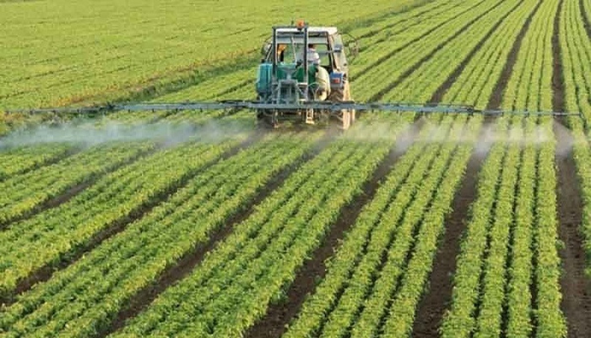 ضرورت پایش به موقع مزارع و باغات در راستای حفظ محصول از آفات