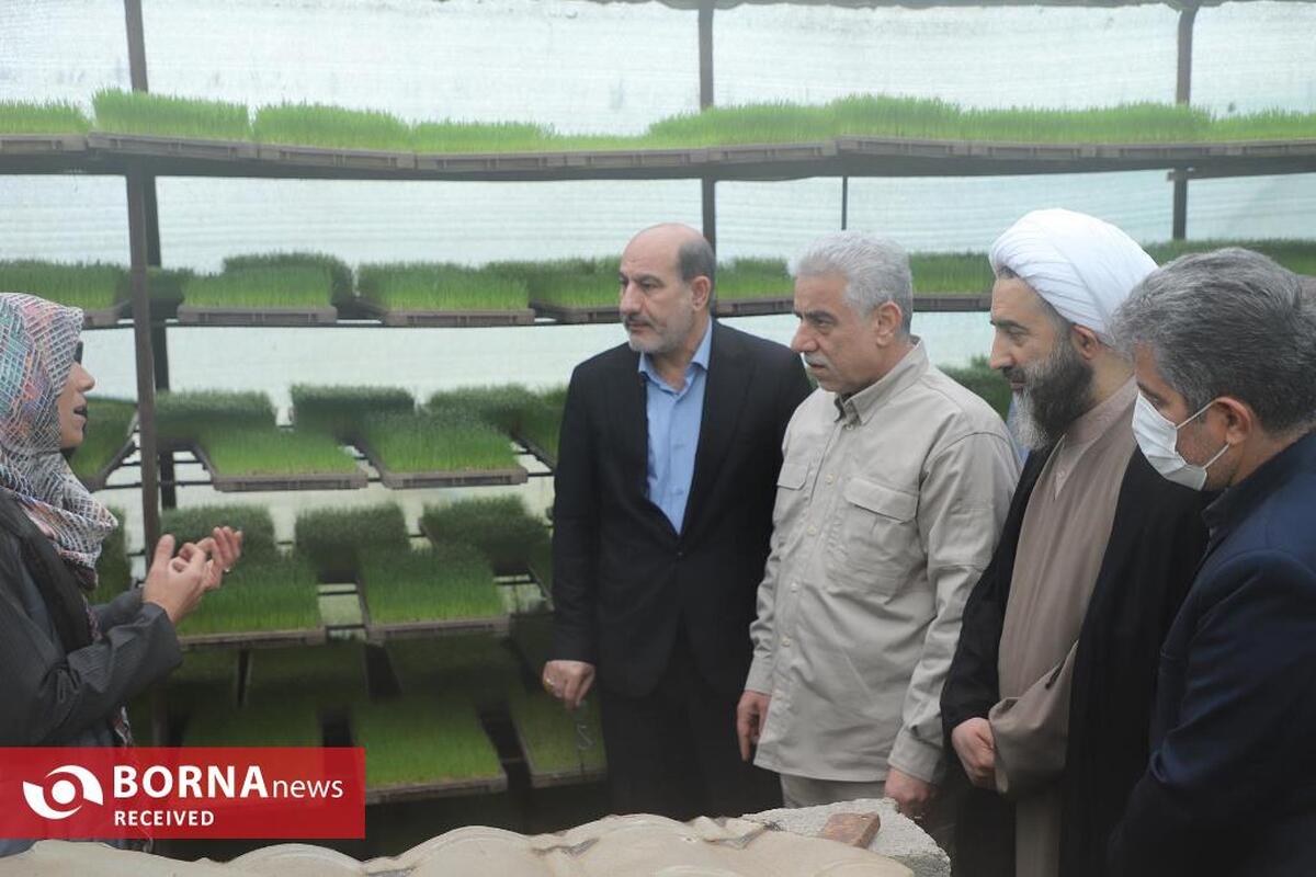 عباسی: در صورت نیاز قرارگاه جهادی مدیریت آب در گیلان تشکیل می‌شود