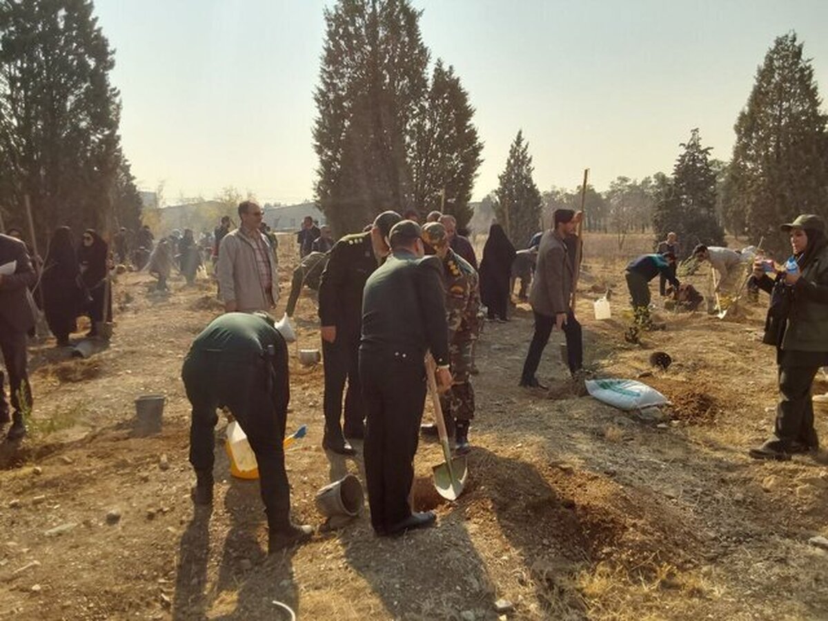 شعبانیان: مردم روز طبیعت استقبال زیادی از پویش کاشت یک میلیارد درخت کردند