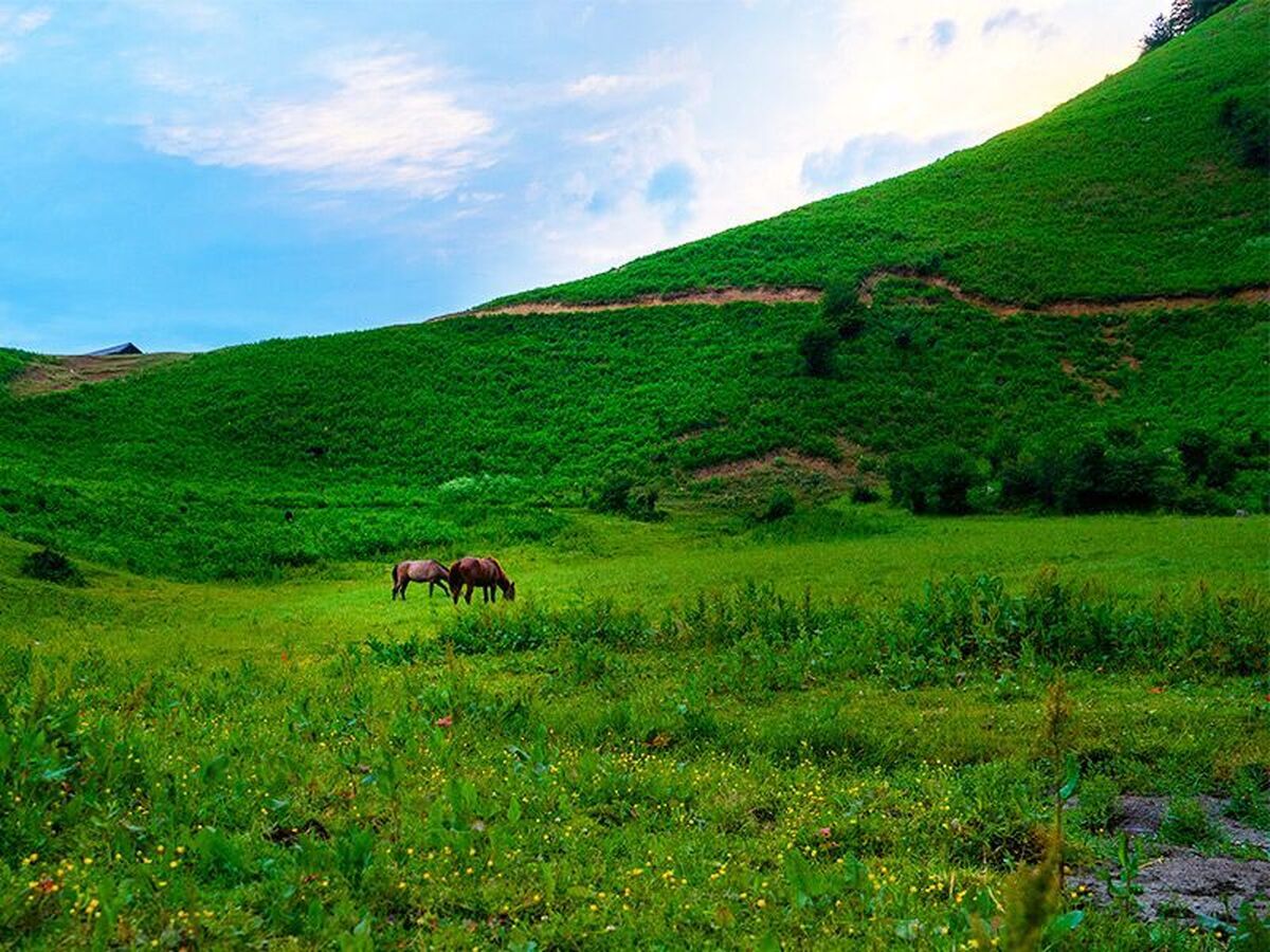 دشت هویج؛ بهشت خوش آب و هوای نزدیک تهران