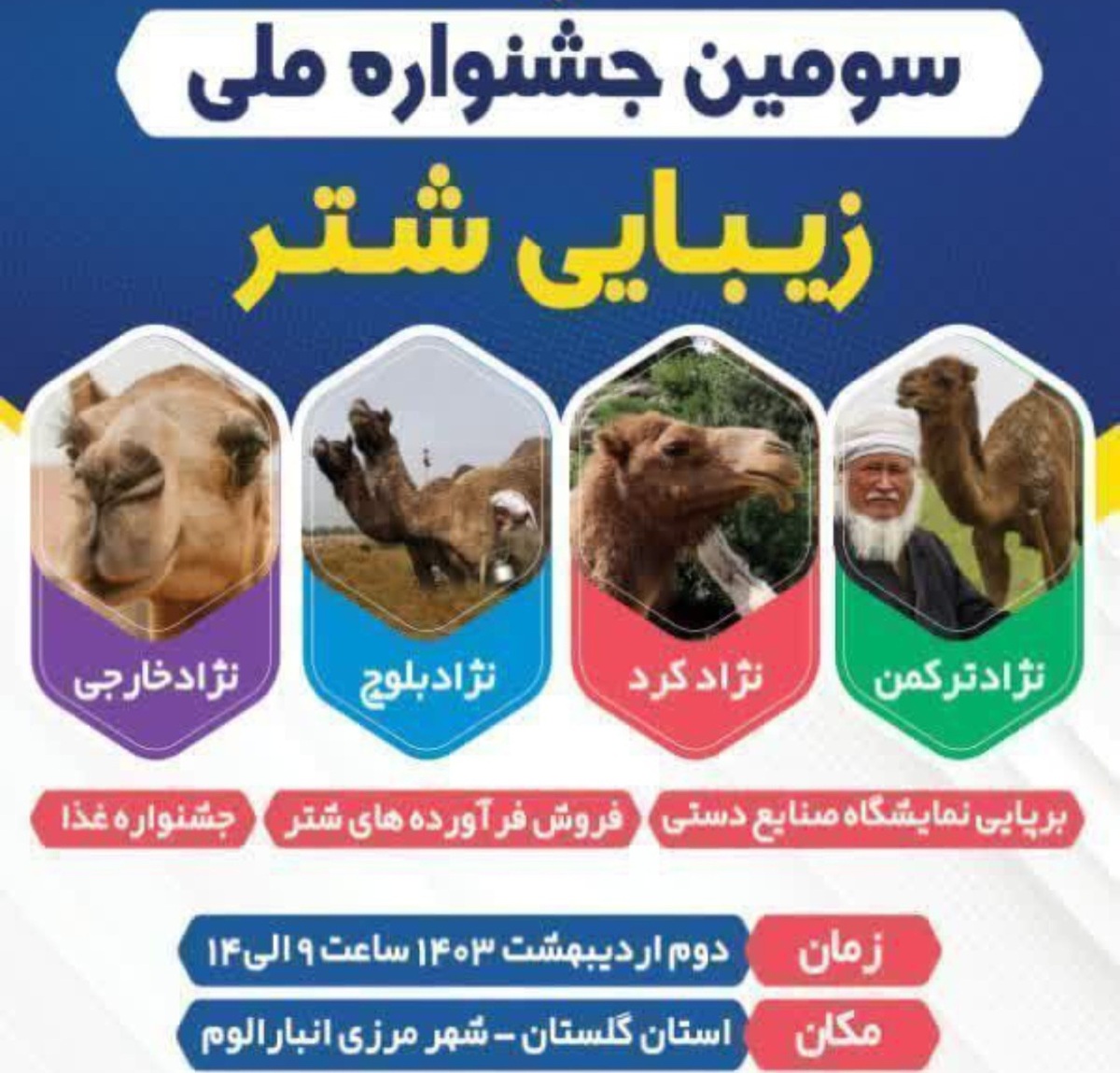 انبارالوم‌ گلستان میزبان سومین جشنواره ملی زیبایی شتر