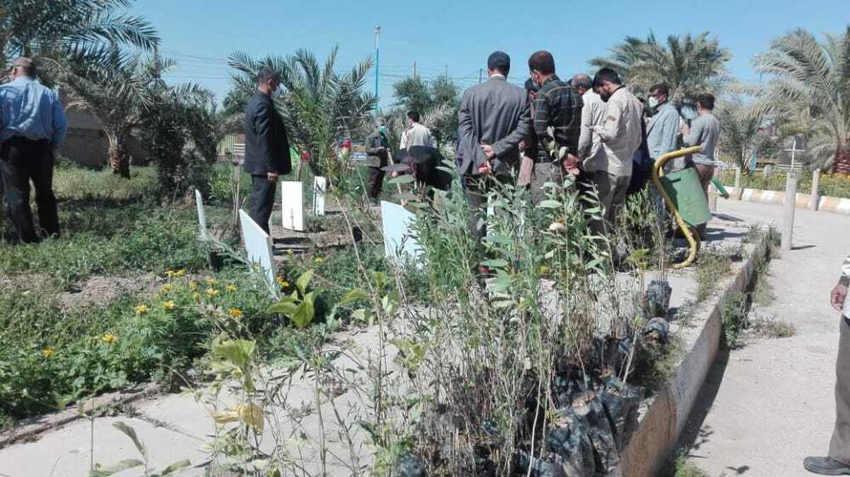 کاشت ۳۱۳ نهال در محوطه مرکز فرهنگی و باغ موزه دفاع مقدس آبادان