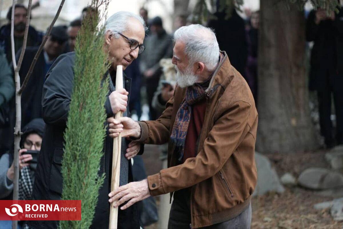 «درخت زرین» فاز نخست یک پروژه بین‌المللی است/ صادرات نگاه هنرمندان ایرانی به مفهوم درخت